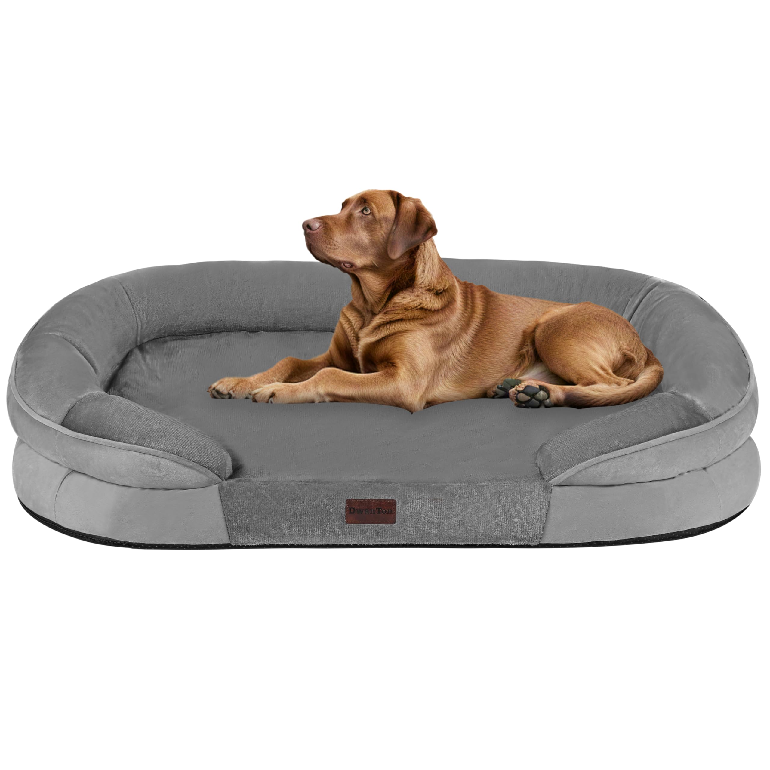 Dwanton Orthopedic Dog Bed