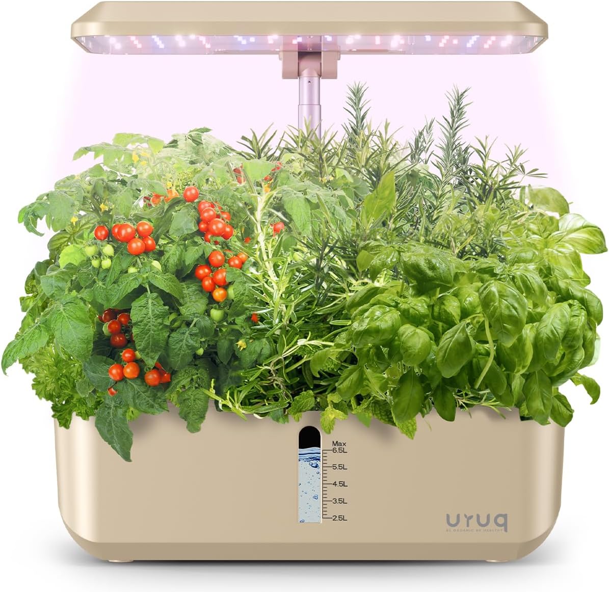 Hydroponics Growing System Indoor Garden: URUQ 12 Pods Indoor Gardening System with LED Grow Light Height Adjustable Plants Germination Kit Quiet Smart Pump - Hydroponic Planter Fresh Harvest Gold