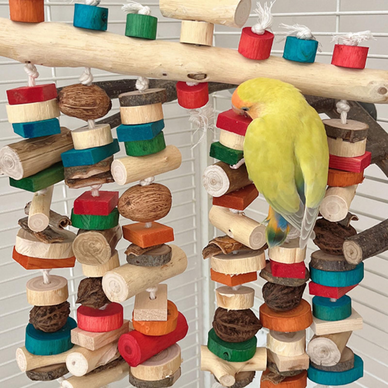PANGBOER Jouet à mâcher pour oiseaux de compagnie - Bloc naturel coloré pour calopsittes conures cacatoès - Grincement des dents - Parfait pour cage - Jouet pour perroquets pour perruches, calopsittes