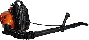 Soffiatori di foglie a zaino thumbnail classifica