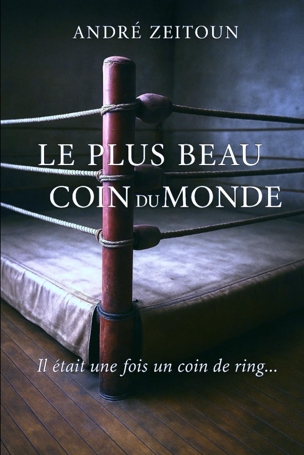 Le plus beau coin du monde: L'homme de coin