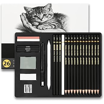 26-Piece Professional Sketch Drawing Set Art Accessories with Graphite Pencils 6B-4H & Charcoal Pencils for Drawing Sketching Shading Erasers Sharpener for Beginners Artists Adults