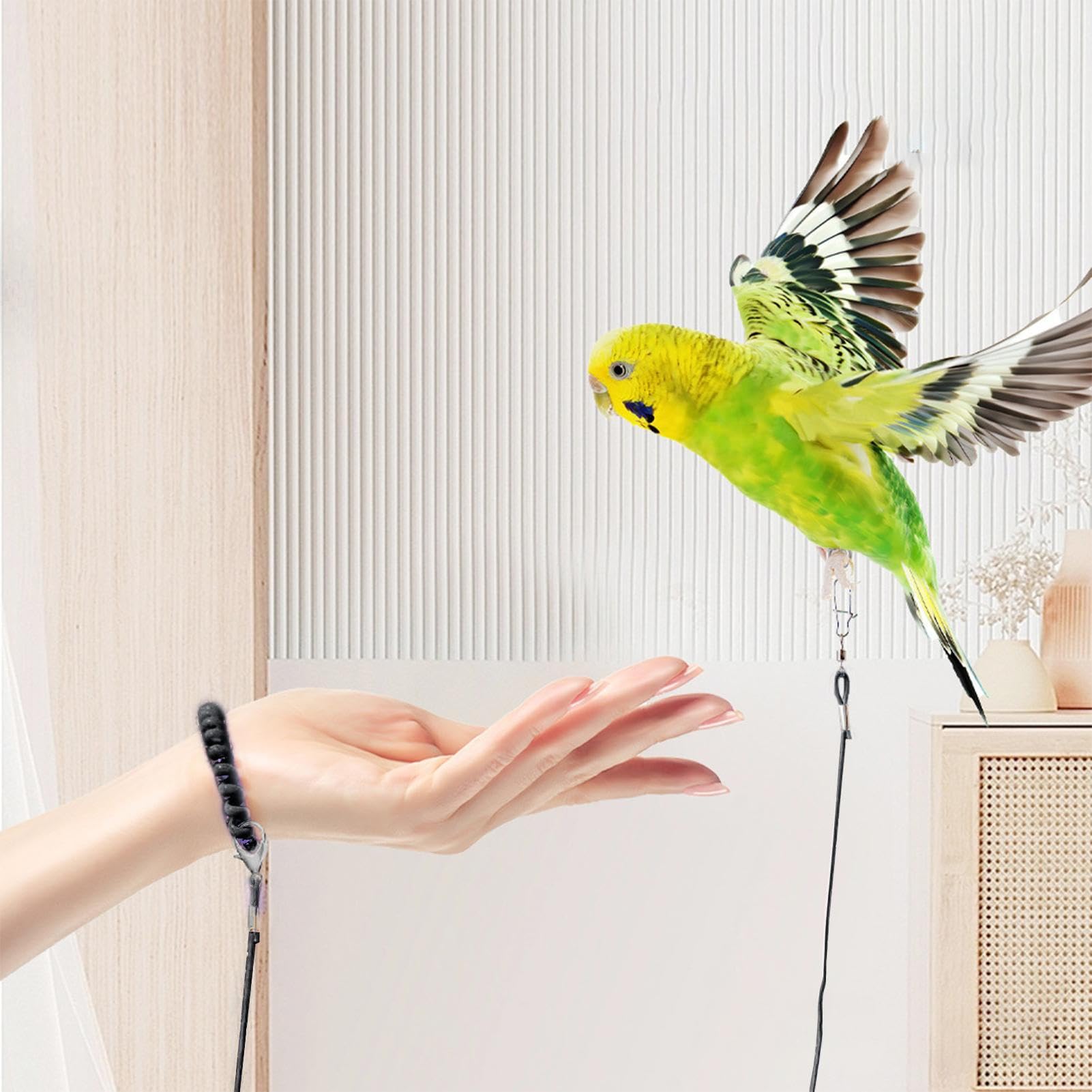 4 Pezzi Catena Per Piede Per Uccelli, Corda Leggera Per Pappagalli Per Animali Domestici, Per Uccelli, Pappagallini E Cocorite | Ideale Per Passeggiate, Giardino E Viaggi