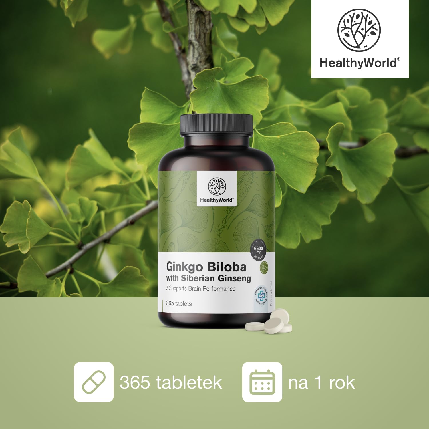 HealthyWorld Ginkgo Biloba + żeń-szeń syberyjski 6600 mg – Wysoka dawka, jakość premium – Wsparcie mózgu, pamięci i koncentracji – 365 tabletek – Ekstrakty 50:1 i 10:1