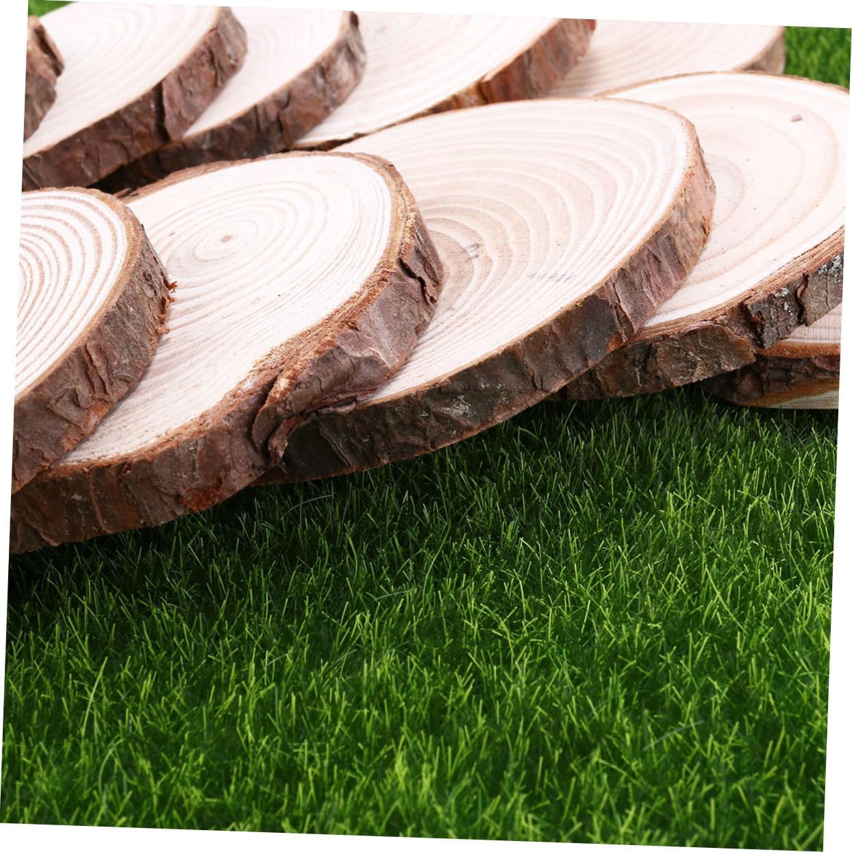 10 Pack Wood Log Slices 8-9cm Round Discs for Wedding