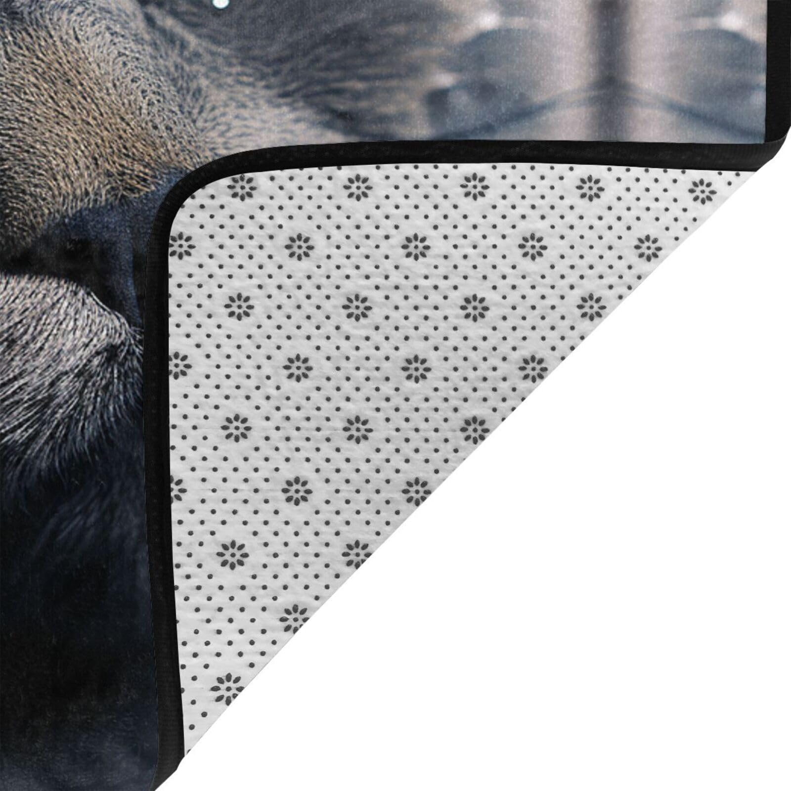 Felpudo antideslizante de franela con diseño de gatos con ojos amarillos, 63 x 48 pulgadas, para puerta delantera y trasera, para interiores y exteriores