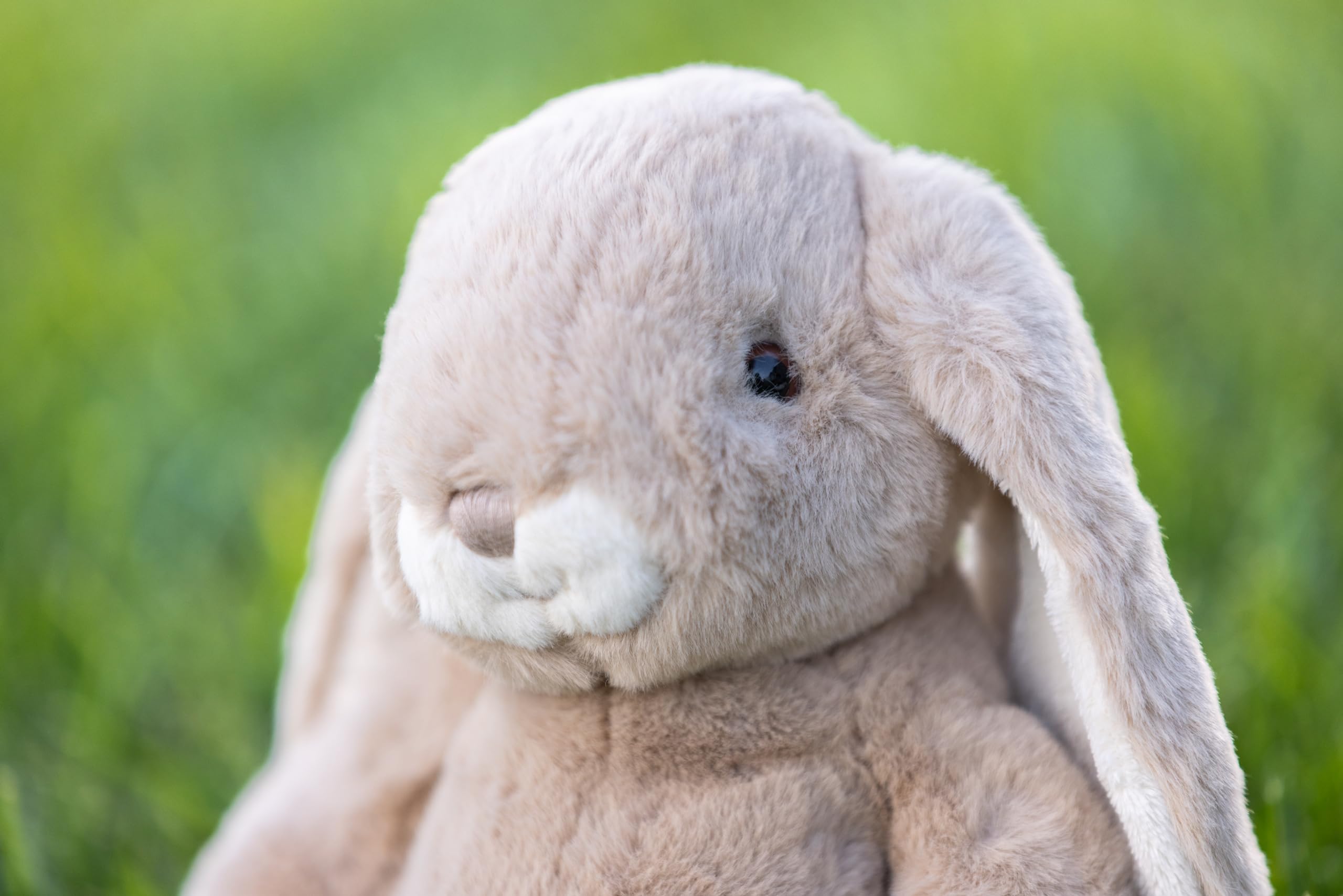 Amazon.co.jp: Bukowski Bukowski Bears ラブリーカニーニ トープ