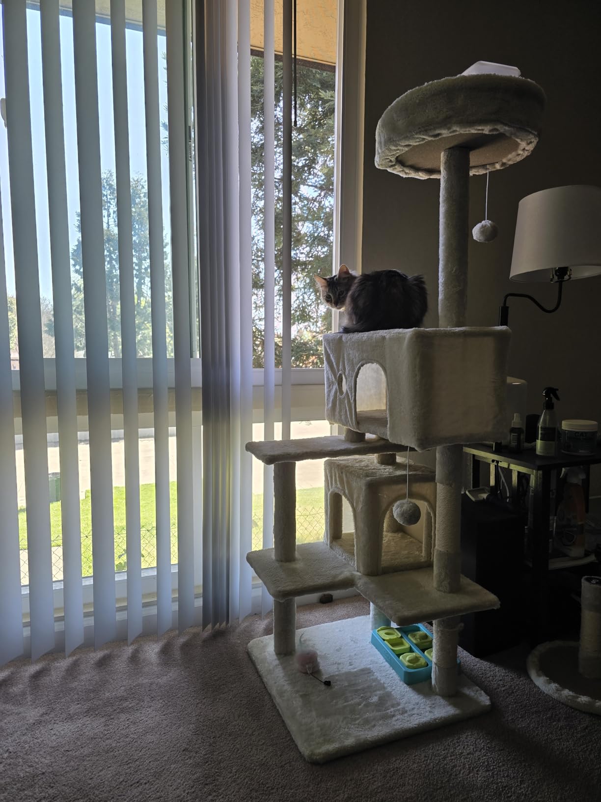 FDW Cat Tree 54in Cat Tower Multi-Level Durable Cat Scratching Post & Cozy Fun Cat Jumping Platform Space Saving Cat Condo Pet Play House for Indoor Cats,Dark Gray photo review