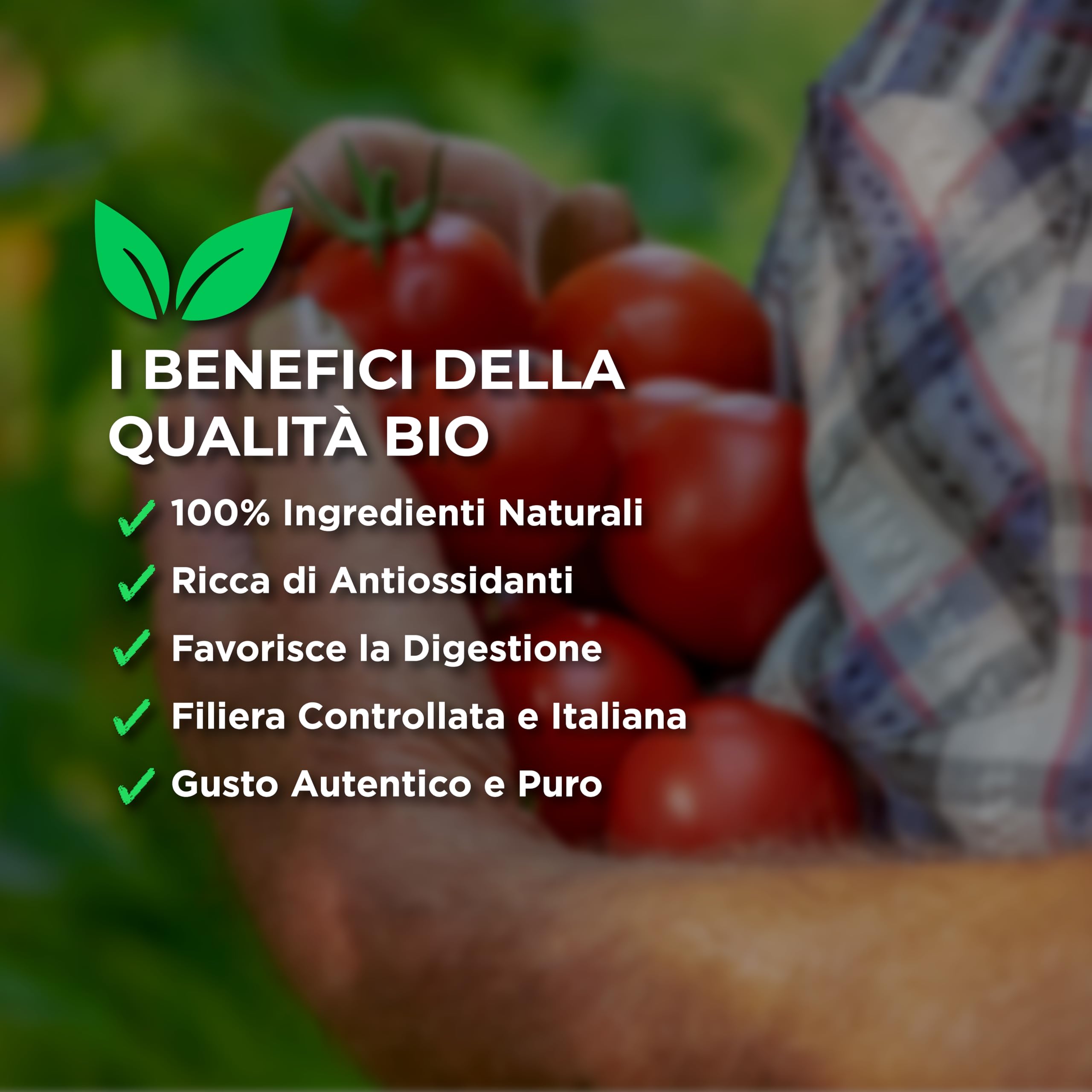 RACILIA Passata de Tomate Ecológica - Mezcla de Tomates Sicilianos Recogidos a Mano - 100% Sicilia - 420g