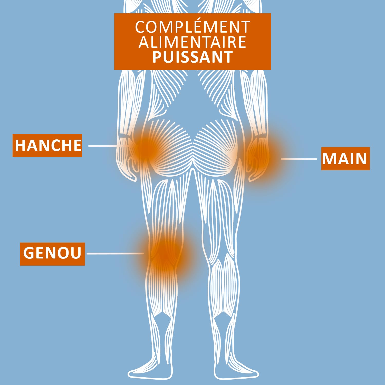 Articulations Douloureuses - Anti-inflammatoire naturel - Curcumine (curcuma) - Magnésium - - Fabriqué en France - 1 mois - NATURAFRANCE