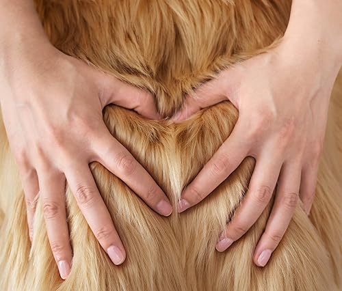 Miniatura 6 de SERISSA Alfombra de piel sintética, 5 x 8 pies, beige, alfombra lanuda de lujo para sala de estar, dormitorio, decoración de guardería