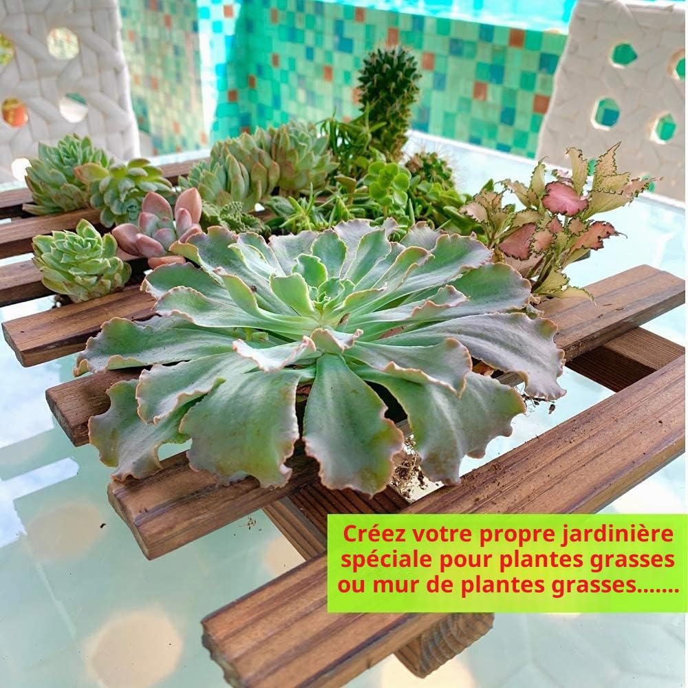 ShopLaLa Jardinière murale – Support en bois pour plantes succulentes d'intérieur et d'extérieur, orchidée vivante Cadre d'affichage vertical pour jardin, balcon, terrasse, salle de bain, Macetas para