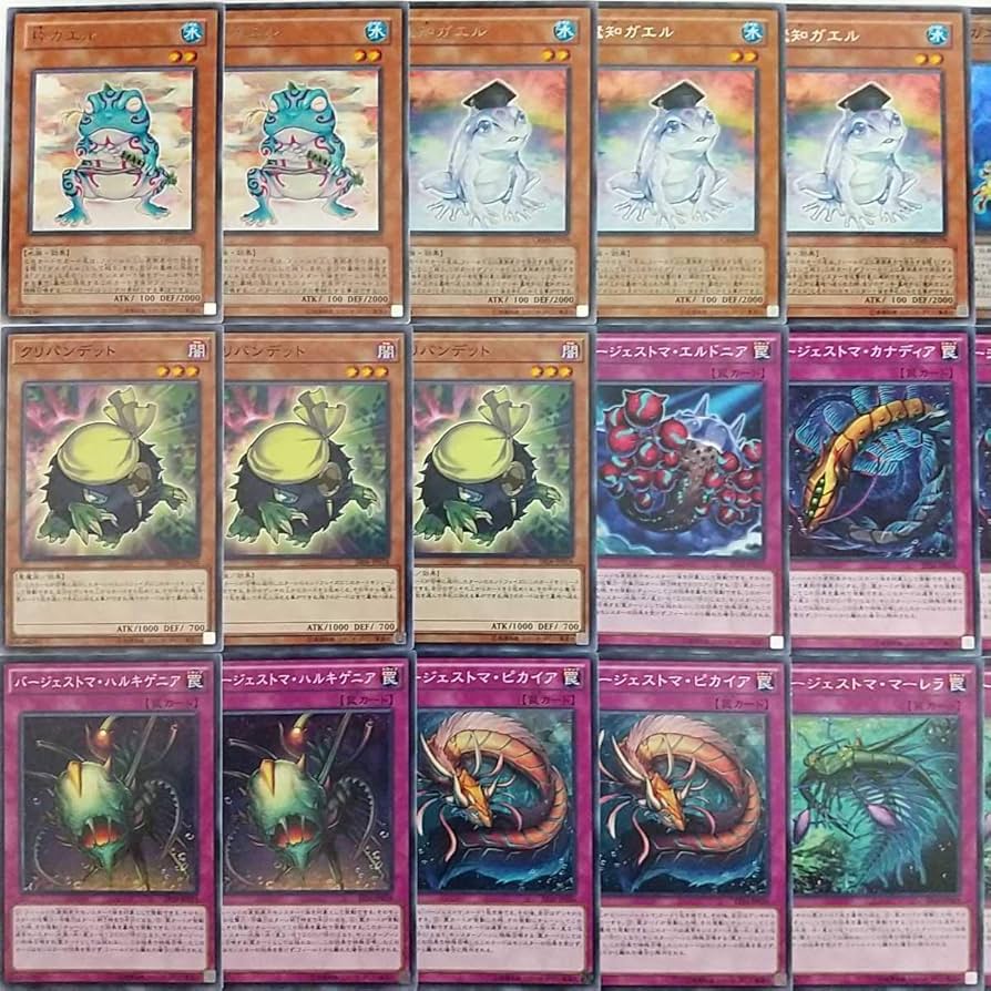 愛用 - 遊戯王 構築済みデッキ 55枚 ガエル バージェストマガエル 透明