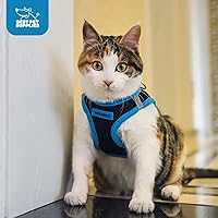 Vista 12 de Best Pet Supplies Voyager Step-in Air - Arnés de malla para todo tipo de clima, reflectante, antitirones, para perro y gato pequeño y mediano