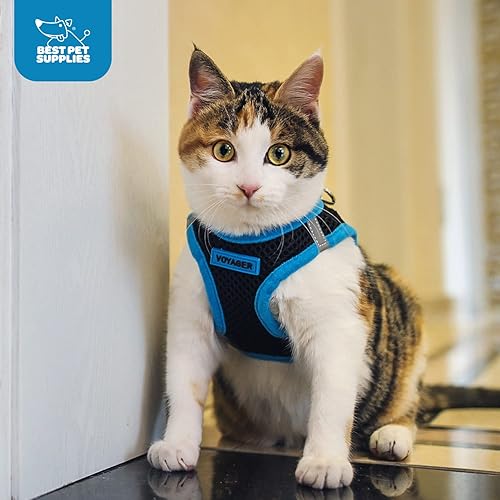 Vista 11 de Best Pet Supplies Voyager Step-in Air - Arnés de malla para todo tipo de clima, reflectante, antitirones, para perro y gato pequeño y mediano, Arnés
