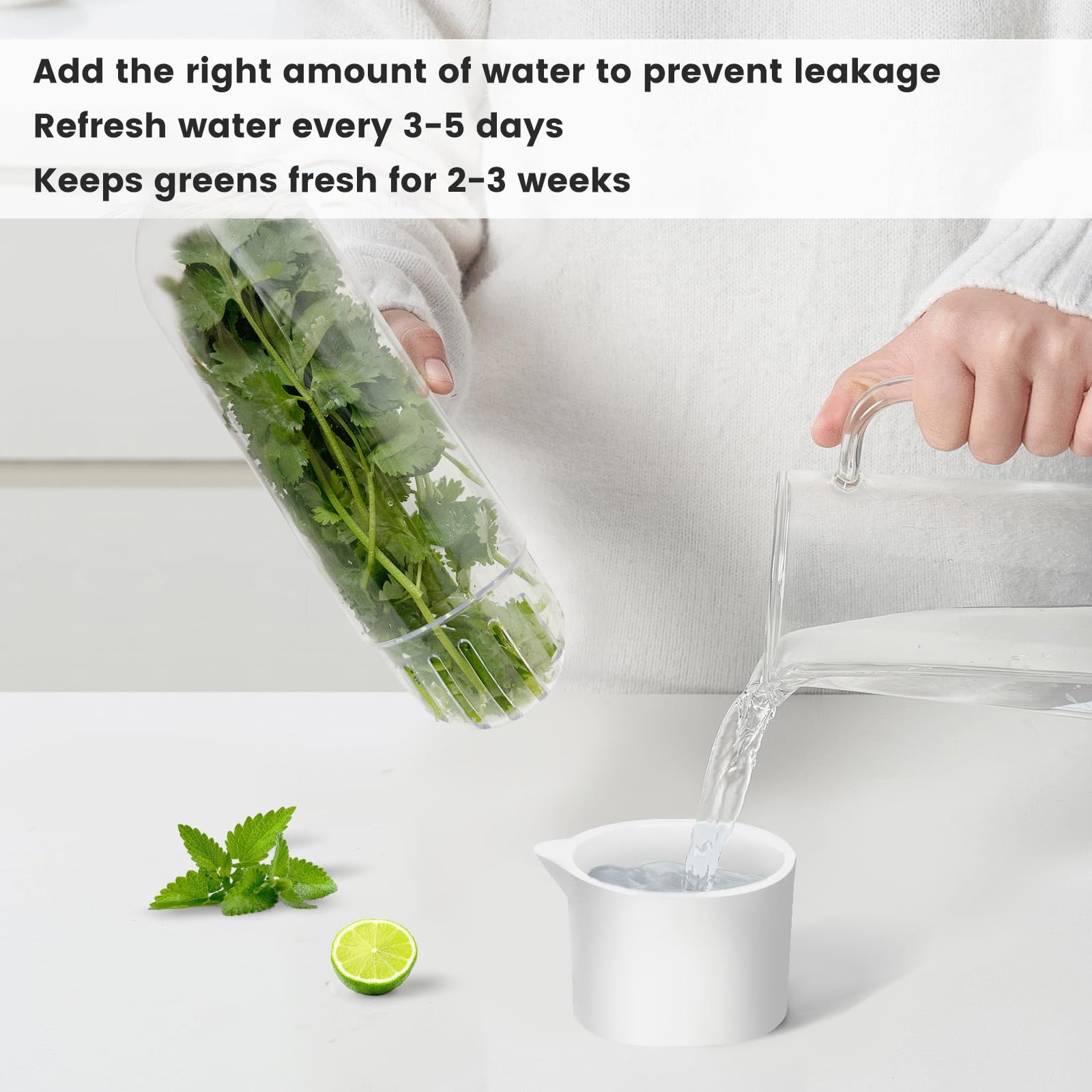 Herb Keeper para refrigerador, protector de hierbas para refrigerador, botella de conservación de verduras para cilantro, menta, perejil, espárragos, mantiene las verduras frescas durante 2-3
