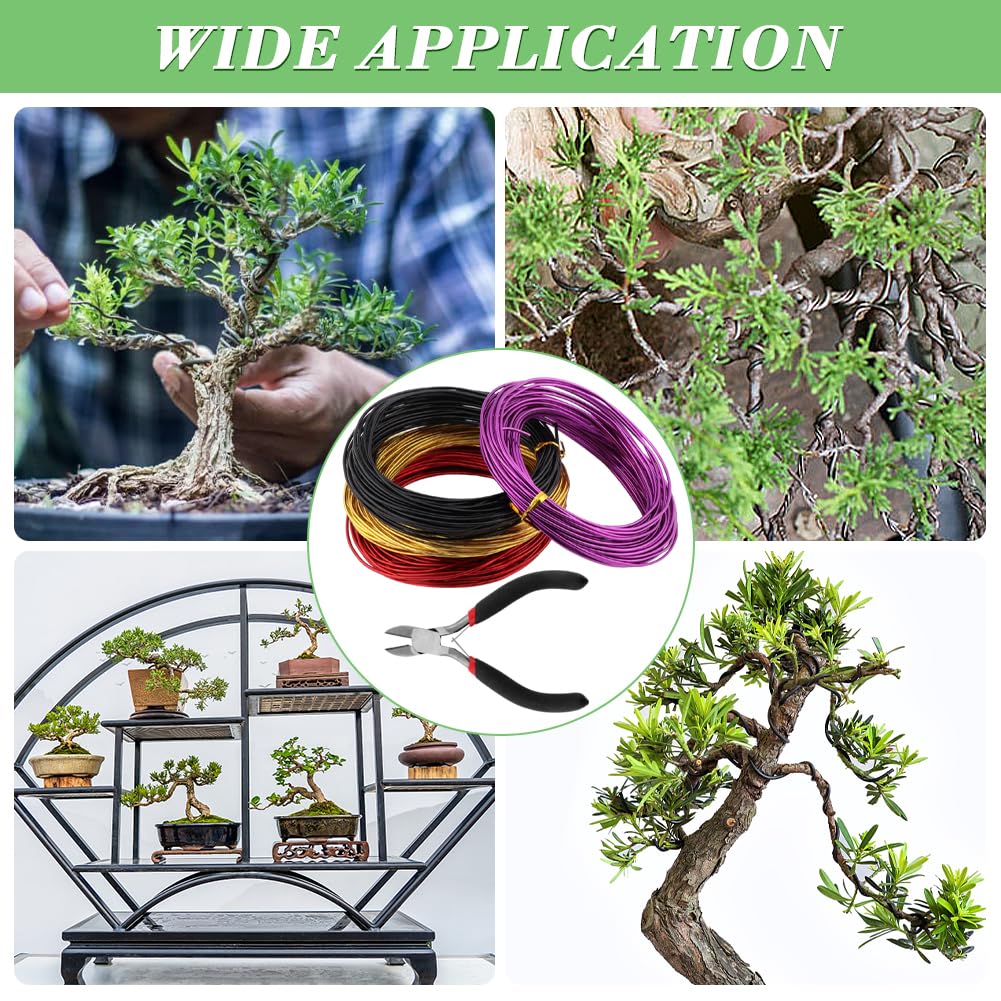 Amazon.com: LOQJSS 4 Roll Bonsai Wire,Bonsai Training Wire with Wire  Cutter,Anodized Aluminum Bonsai Training Wire,Bonsai Tree Wire Bonsai Wire  Craft for Bonsai Trees Indoor Garden DIY Tools : Patio, Lawn & Garden