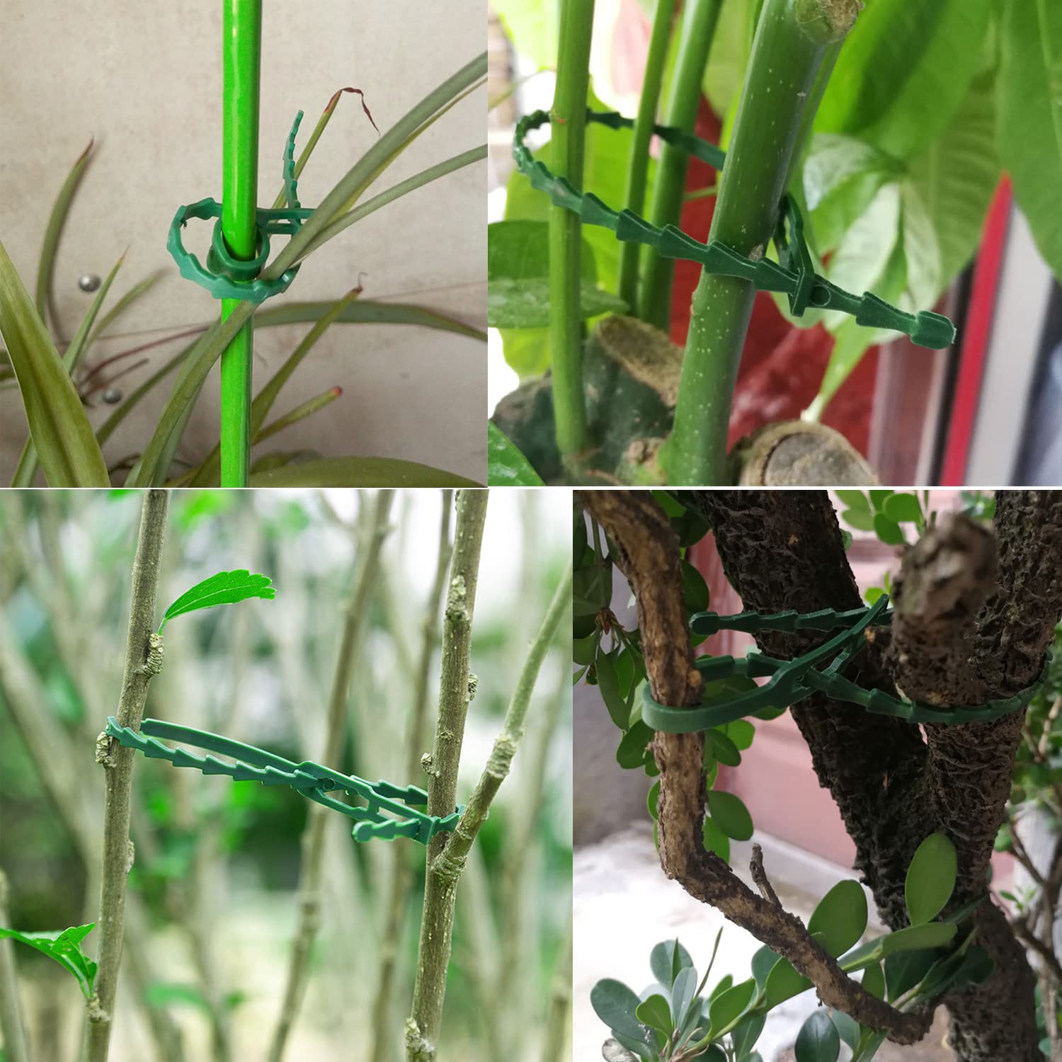 Treki 150pcs 230mm Attaches de Plantes Réglables de Jardinage Attaches Réglables Serre Câbles Lien de Serrage en Plastique Réutilisable pour Vertes Arbustes Jardinage Bricolage Maison Bureau