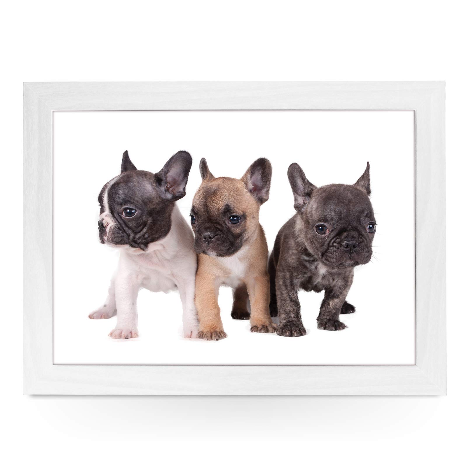yoosh Portable Lap Desk Tray (Three French Bulldog Puppies) Handmade Wooden Frame, Beanbag Cushioned Bottom | Computers, Laptops, Meals, Food | L0079 White