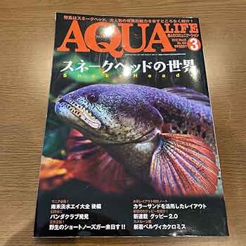 【貴重！】月刊アクアライフ スネークヘッド特集 4冊セット 貴重！】月刊アクアライフ スネークヘッド特集 4冊セット