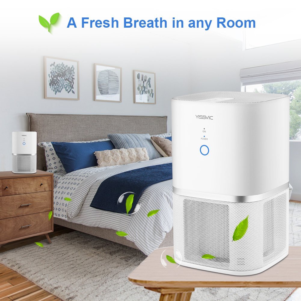 YISSVIC Air Purifier HEPA Air Cleaner with Ioniser Active Carbon