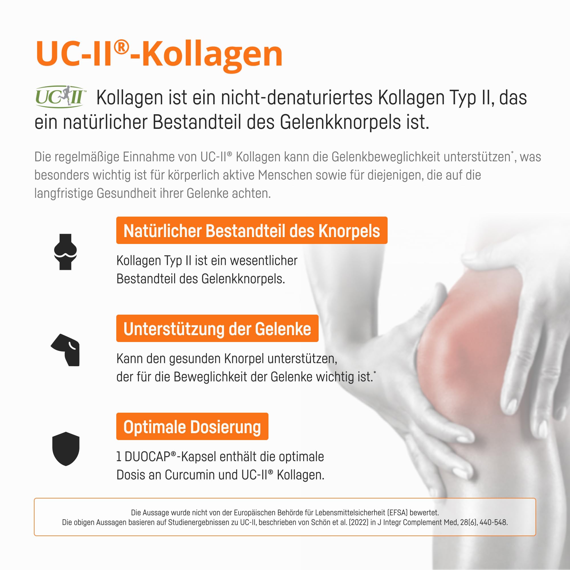 Kurkuma Kapseln hochdosiert mit Kollagen UC-II, Vitamin C und D, Mangan und Kupfer – 185x Höhere Bioverfügbarkeit – Hochdosiertes Mizellen Curcumin – 1 Kapsel Täglich – Licur Flex II (30 Kapseln)