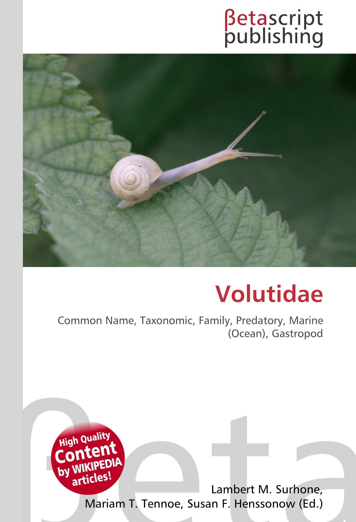Volutidae: Common Name, Taxonomic, Family, Predatory, Marine (Ocean), Gastropod