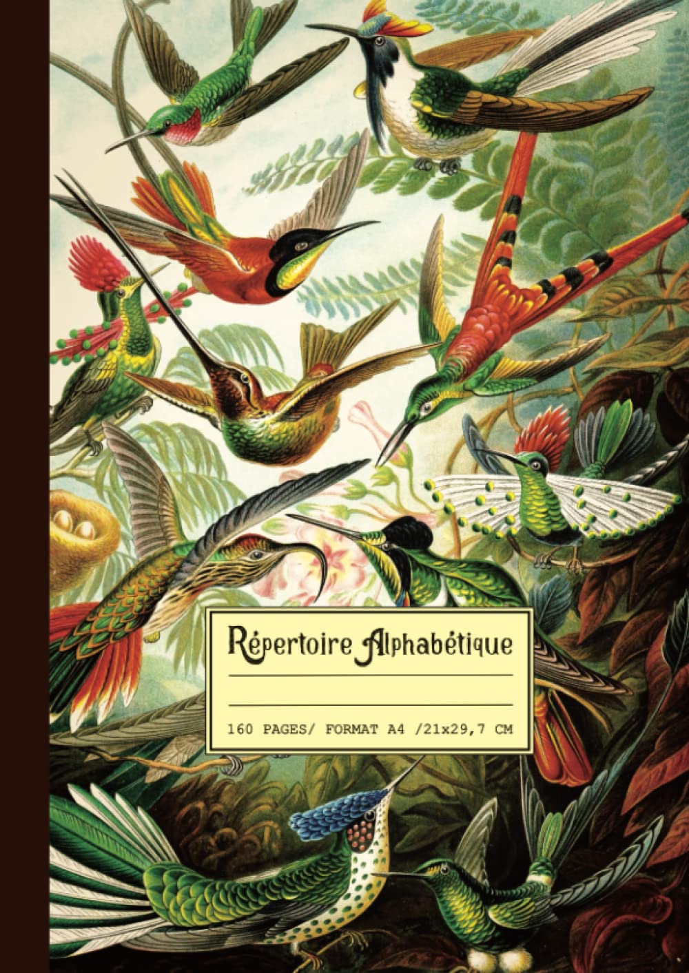Répertoire Alphabétique: Grand format A4: 21x29,7 cm avec repères pour chaque lettre | 160 pages lignées | Jolie couverture Ornithologique Rétro & Vintage, illustration de Magnifiques oiseaux.