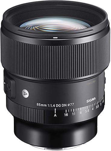 Sigma 3.346 in F1.4 DG DN Sony E (322965) (renovado)