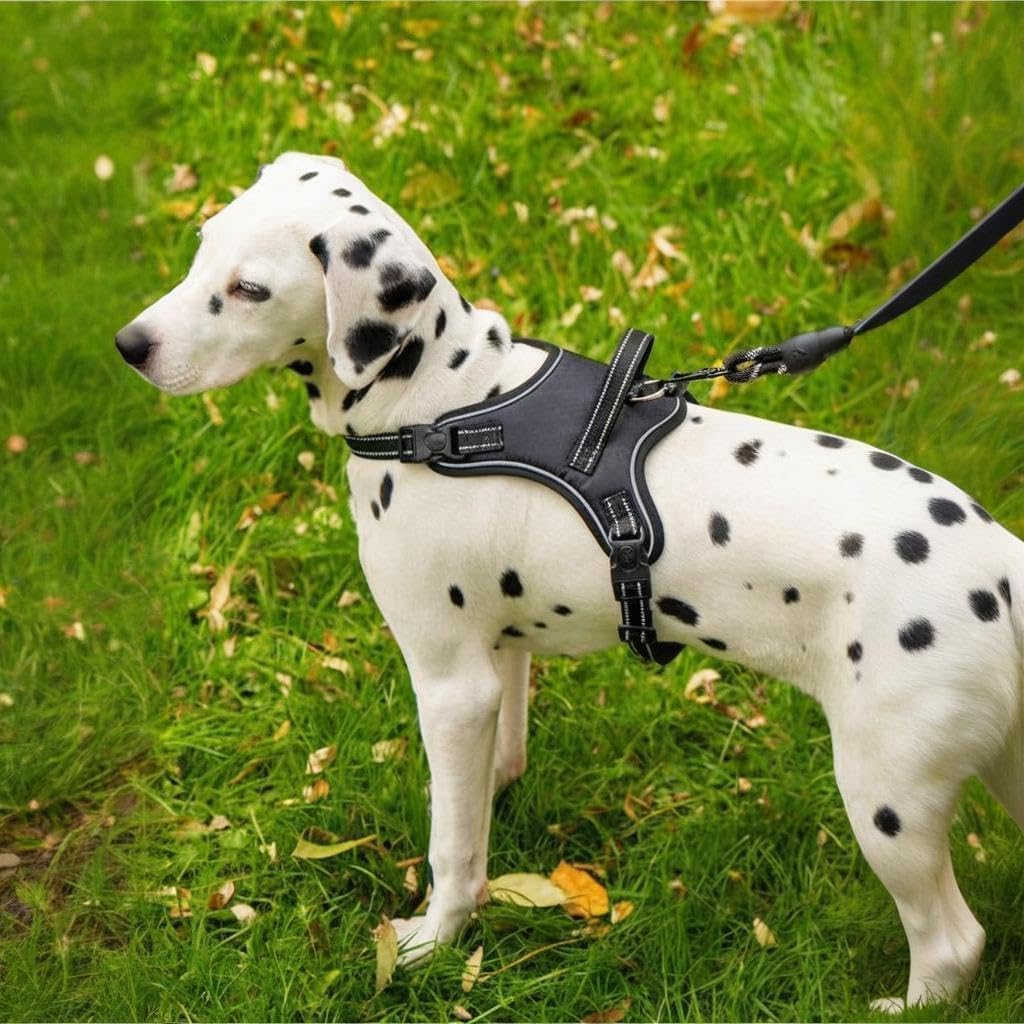 Dog Harness No Pull Adjustable Reflective Oxford for Small Medium Large Dogs Walk Training Pet Owners (Pink+Yellow+Black+Orange, X-Small)