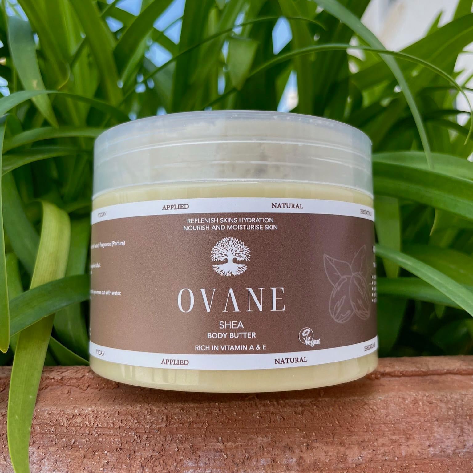 OVANE, 250 g (Pack of 1) - Image 4