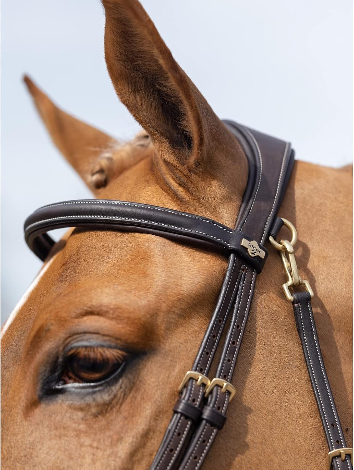 LeMieux Kudos Work Bridle