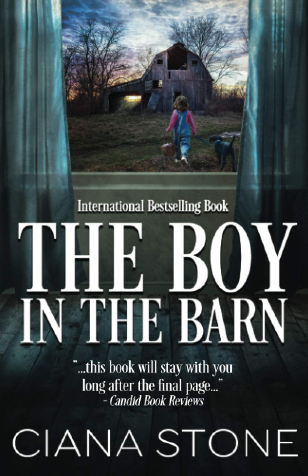 Cover of The Boy in the Barn