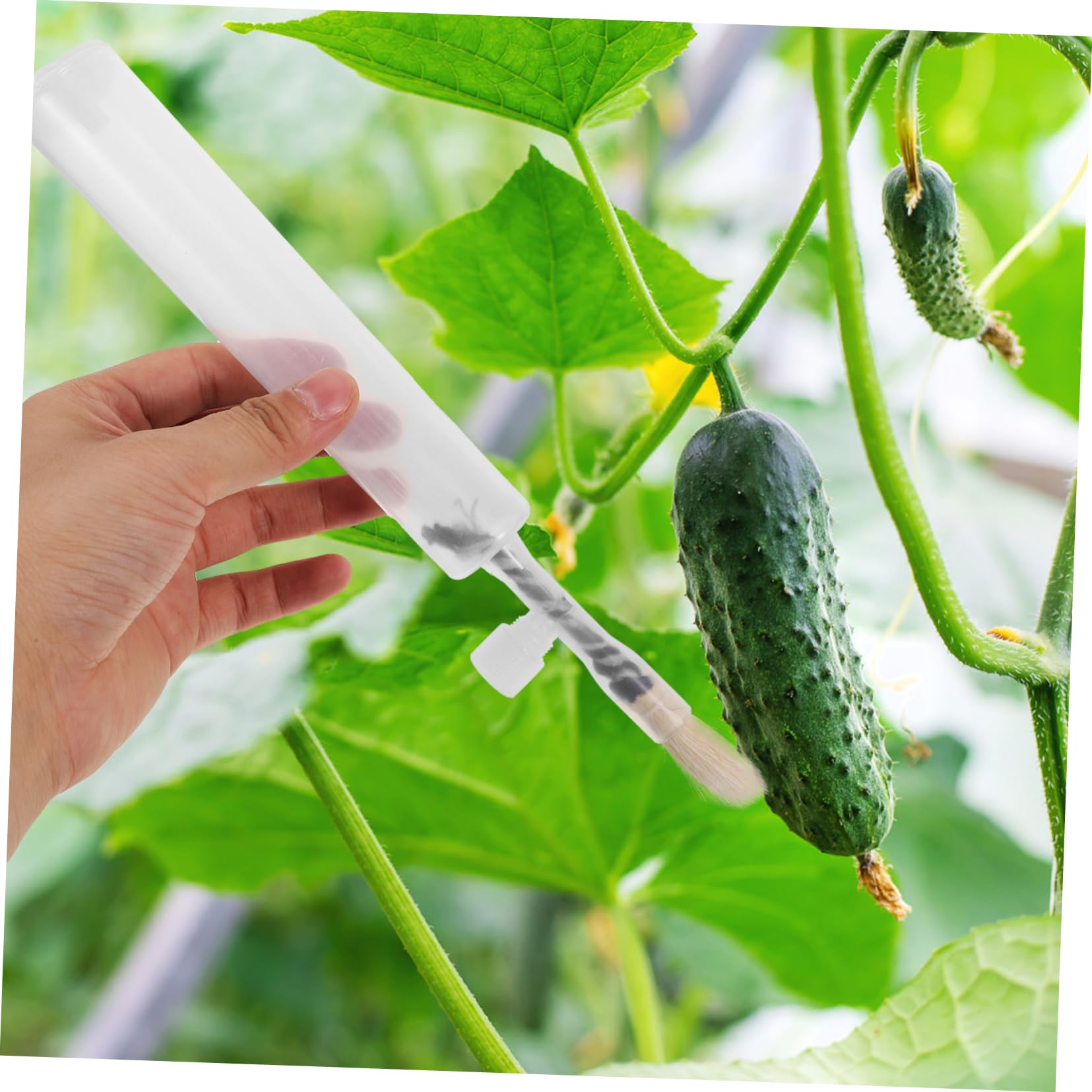 Abaodam 5 Ensembles Stylo Craie Pollinisateur De Fruits Et Légumes Pollinisateur De Plantes Jardinage Outil De Pollinisation des Fleurs Pollinisation De La Cour Plastique 2 Pièces * 5