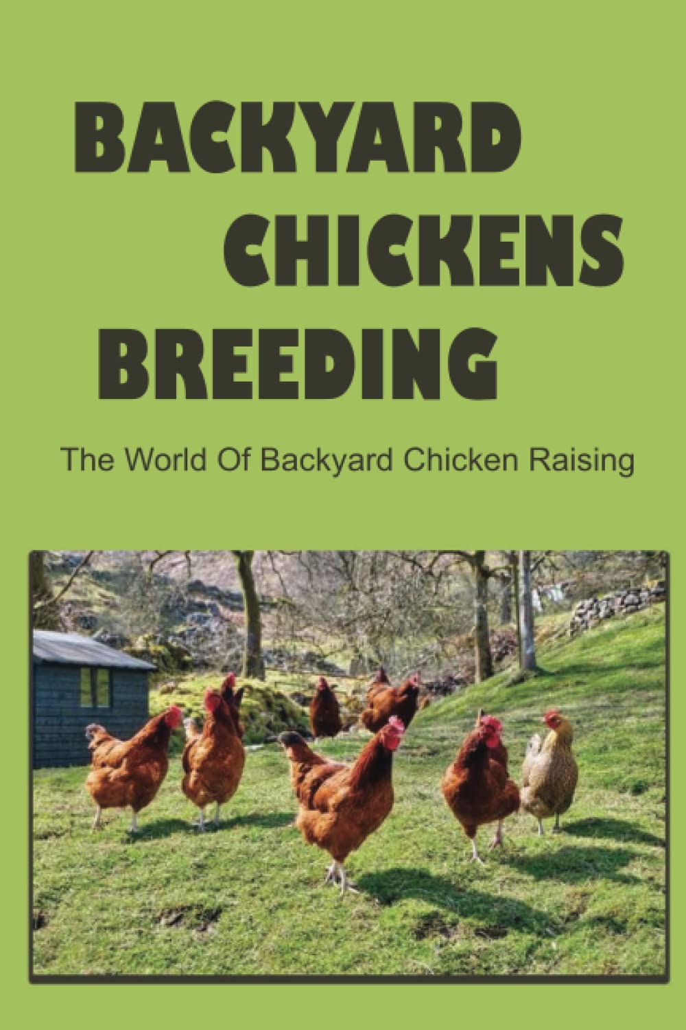 Backyard Chickens Breeding: The World Of Backyard Chicken Raising