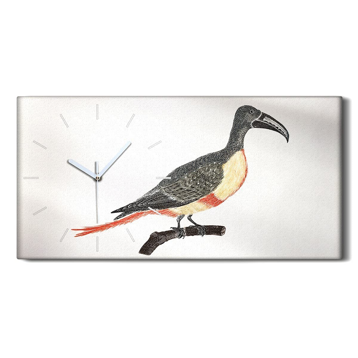 Horloge sur Toile Silencieuse sans Tic-Tac 60x30cm Cadre Oiseau Coloray