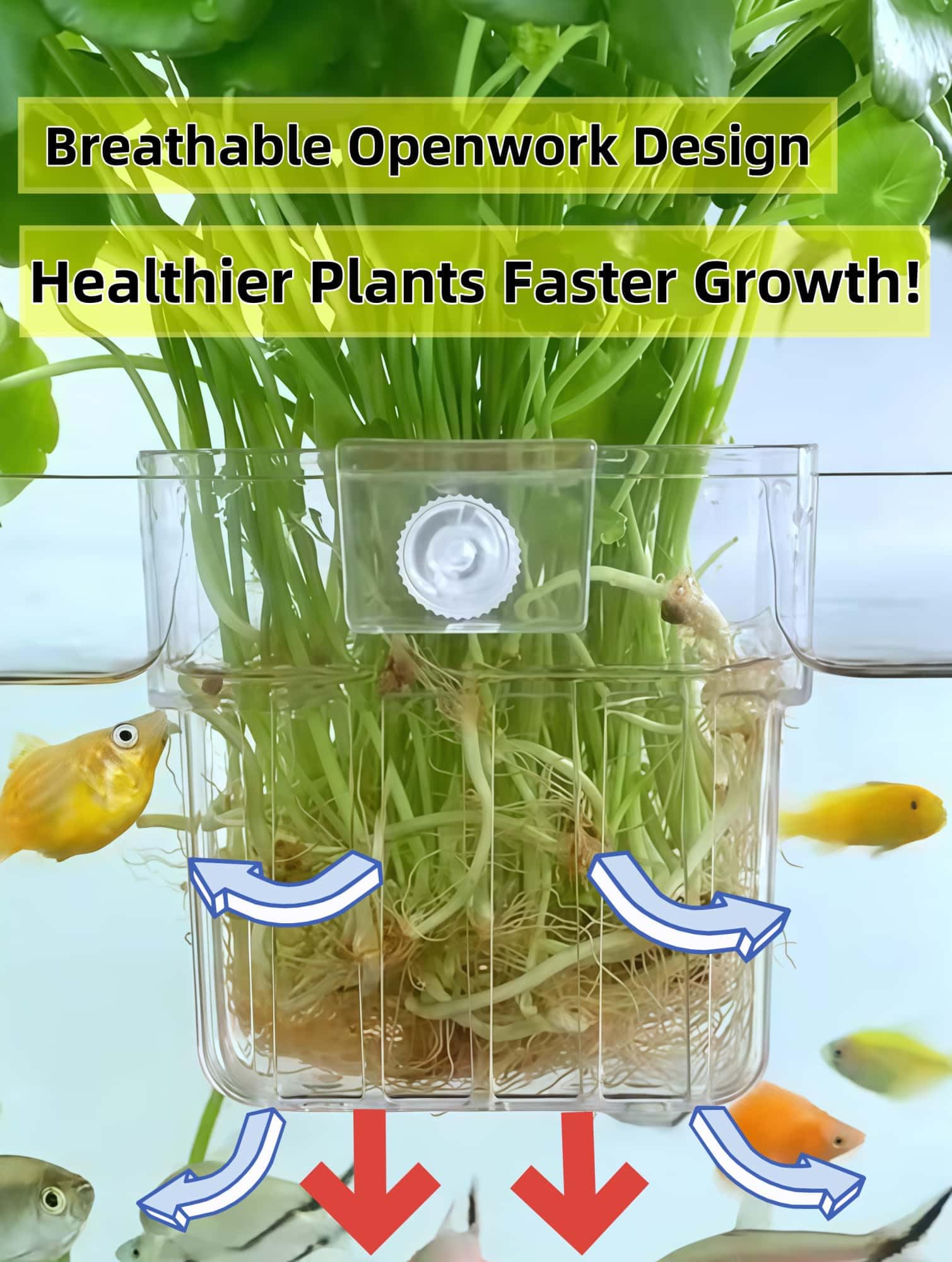 Aquarium Plant Holders - 2 Pack Top Hanging Fish Tank -5