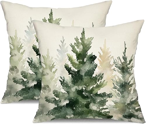 DFXSZ Juego de 2 fundas de almohada de Navidad de 18 x 18 pulgadas, color azul y verde, decoración de invierno para el hogar, sofá, 31C