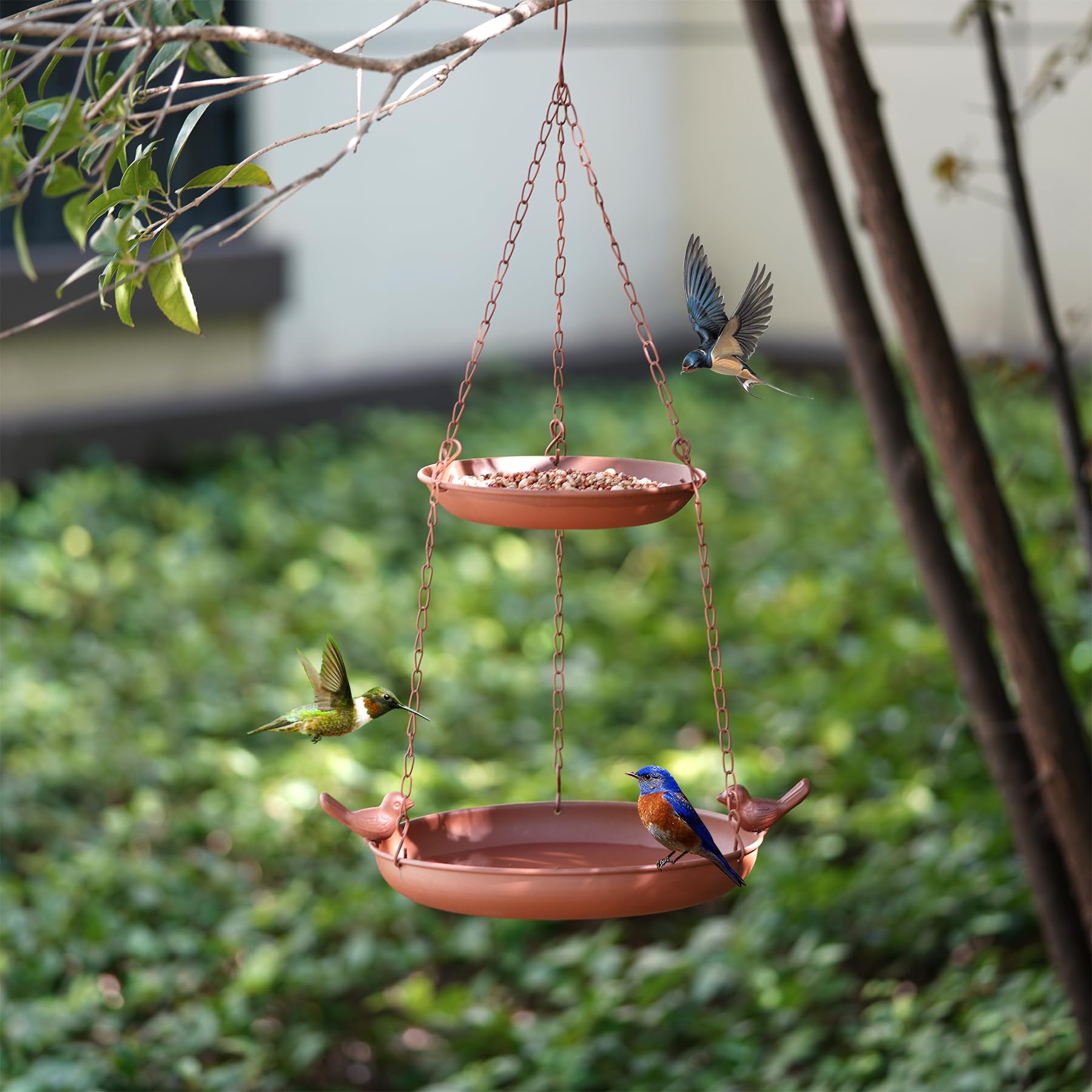 Abreuvoir Poule Mangeoire à Oiseaux Suspendue Zeqeey - Distributeur Graines Transparent | Grande Capacité Extérieur Wild Love