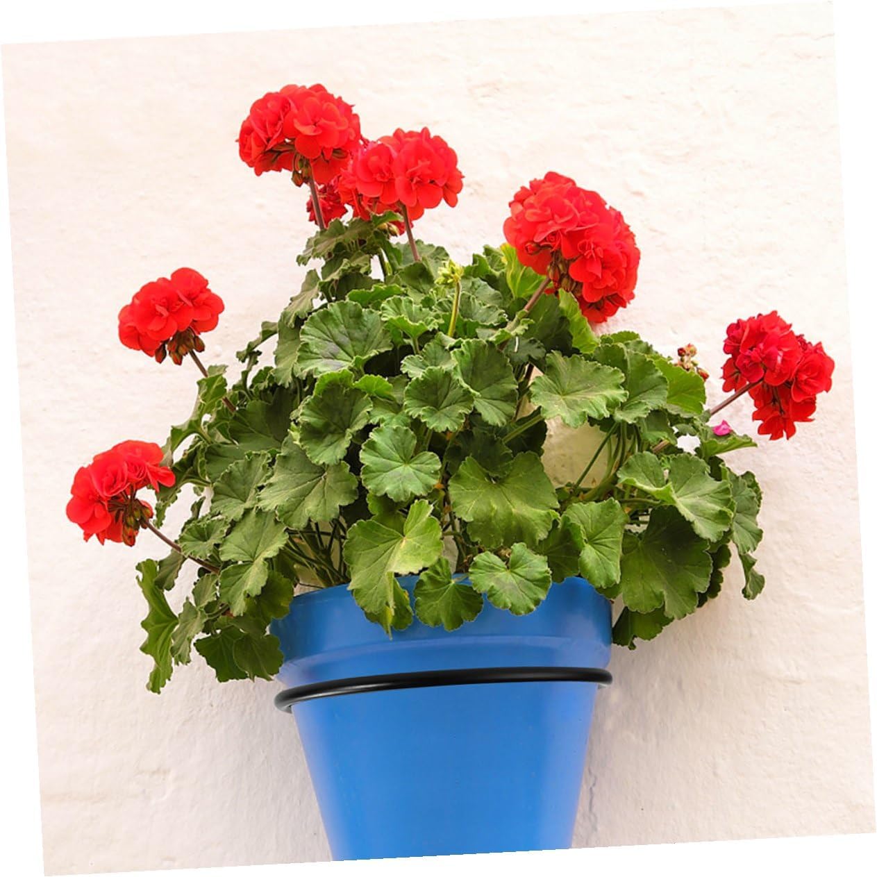 Garneck 3 Pcs Black Iron Flowerpot Wall Holder Folding Plant Pot Stands for Indoor Balcony Gardening with 6-inch Large Hanging Planter Racks