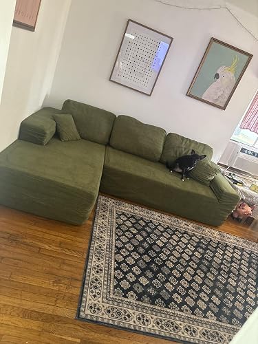 Review Image by Madeline Schoen