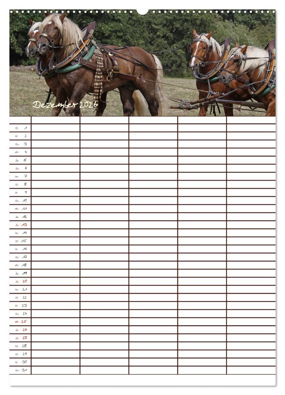 Der Kaltblut-Familienplaner (Wandkalender 2026 DIN A2 hoch), CALVENDO Monatskalender: Der Kaltblutkalender für die ganze Familie (CALVENDO Tiere)