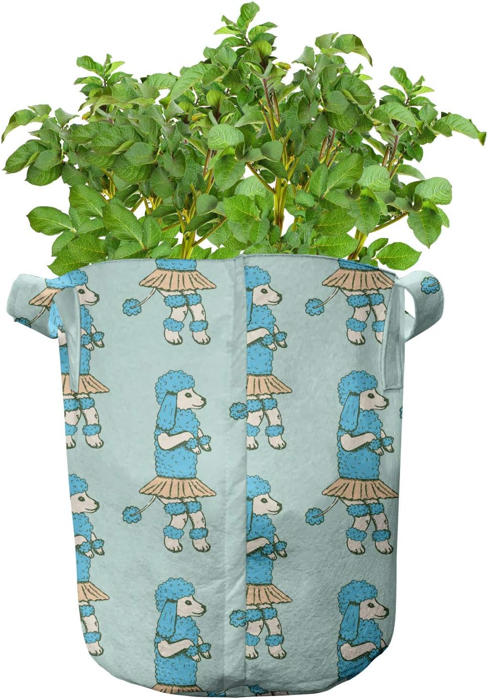 Lunarable Poodle Grow Bags 5-Pack, Dancing Funny Dog Pattern, Heavyduty Fabric Pots with Handles for Plants, 7 Gallon, Mint Green Multicolor