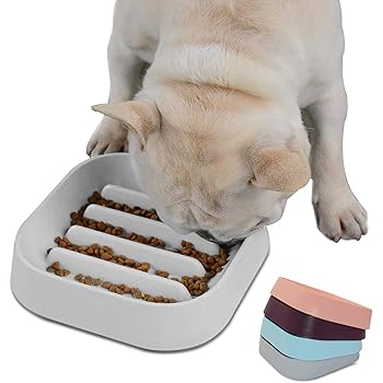 pug slow feeder