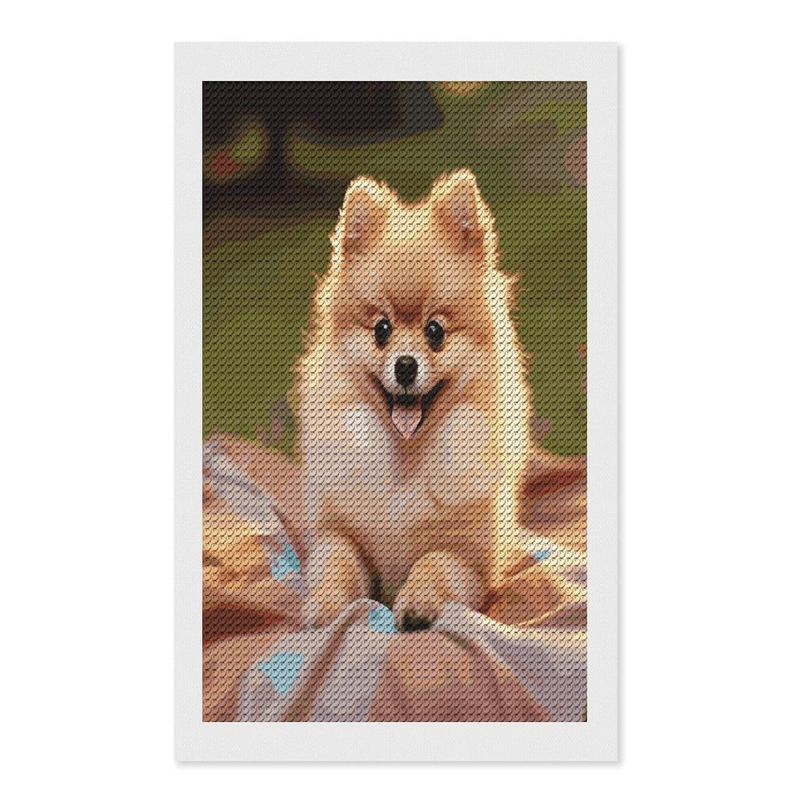Short-haired Pomeranian Diamond Painting Kits for Beginners DIY Diamond Art Kits for Adults Full Drill Round Diamond Dot Gem Art Painting Fun DIY Crafts for Home Kitchen Wall Decor Gift 12"x20"