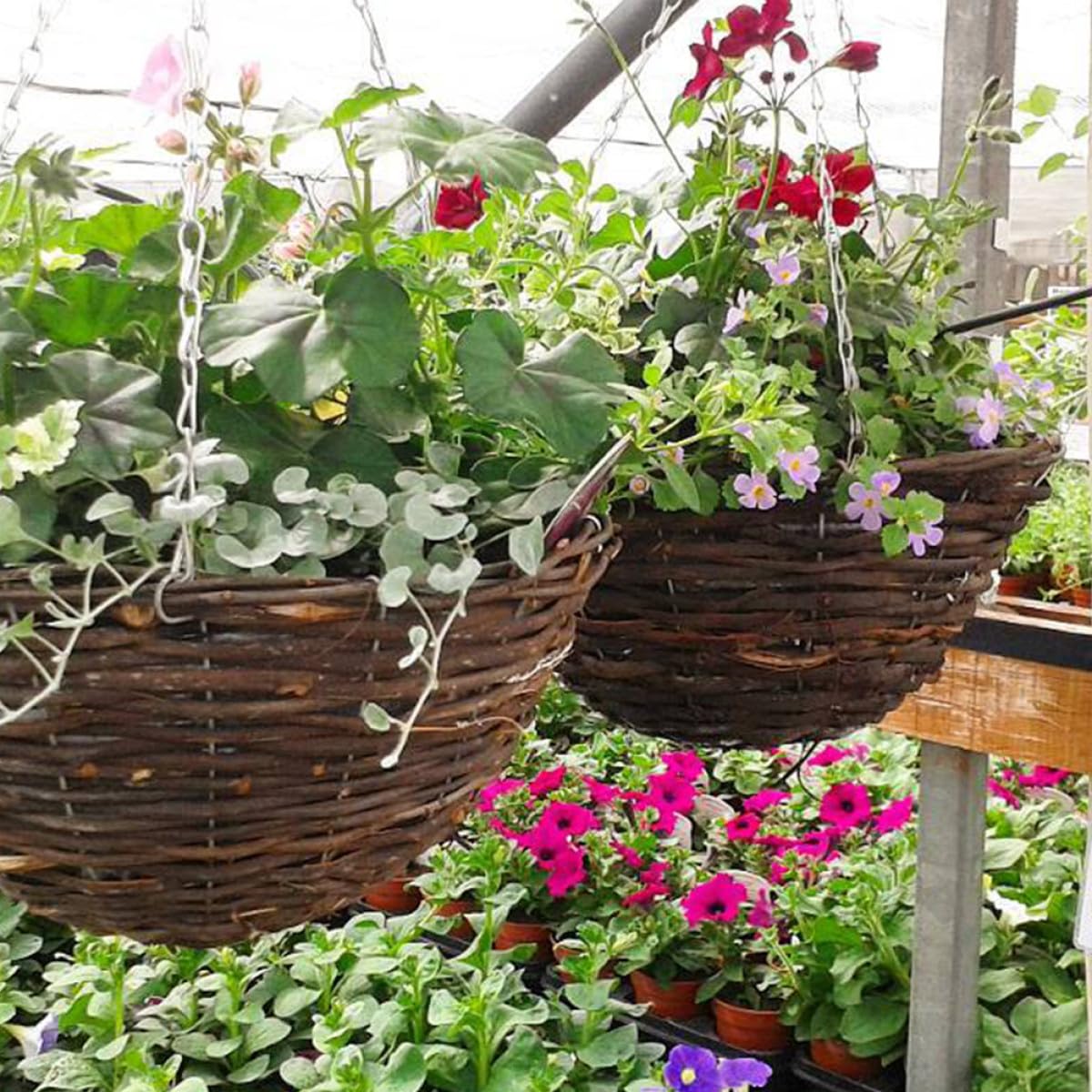 Vasi Sospesi in Rattan e Metallo 30 CM 2 Pezzi, Fioriera da Balcone per Piante Grasse e Fiori, Decorazione Casa e Giardino, Facile da Appendere, Design Naturale e Resistente