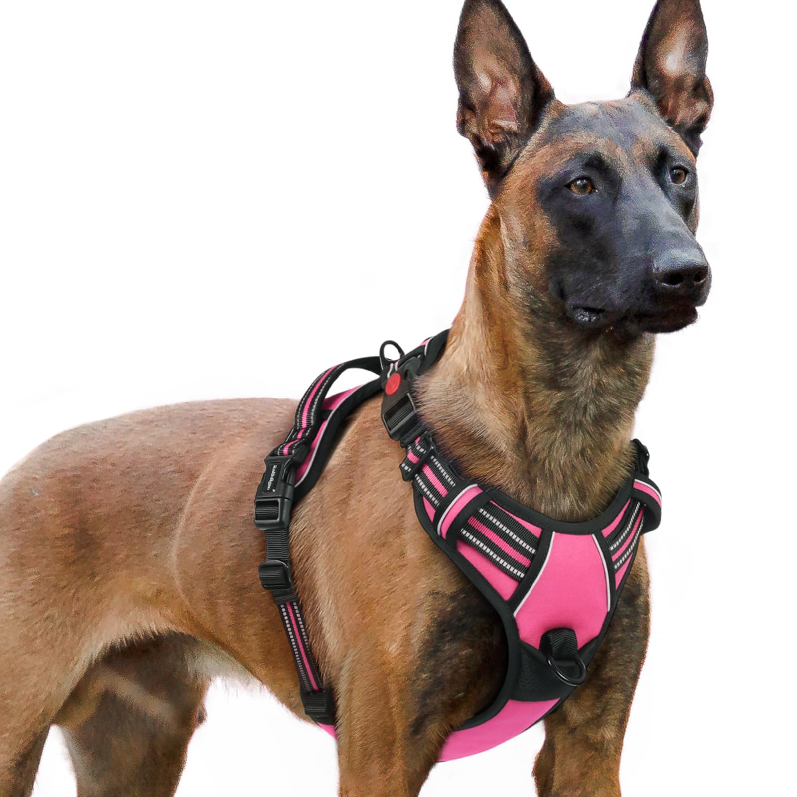 rabbitgoo Hundegeschirr Kleine Hunde, Verstellbare Geschirr Hund ohne Zug & Würgen, Anti Zug Hundegeschirr mit Griff, weich Gepolsterte Reflektierende Brustgeschirr