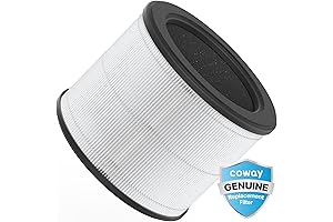Coway Deodorization True HEPA Filter Set