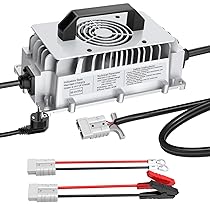 Caricabatterie LiFePO4 da 58,4V 25A per caricabatteria al litio ferro fosfato da 48V (51,2V) con ricarica rapida protegge la batteria