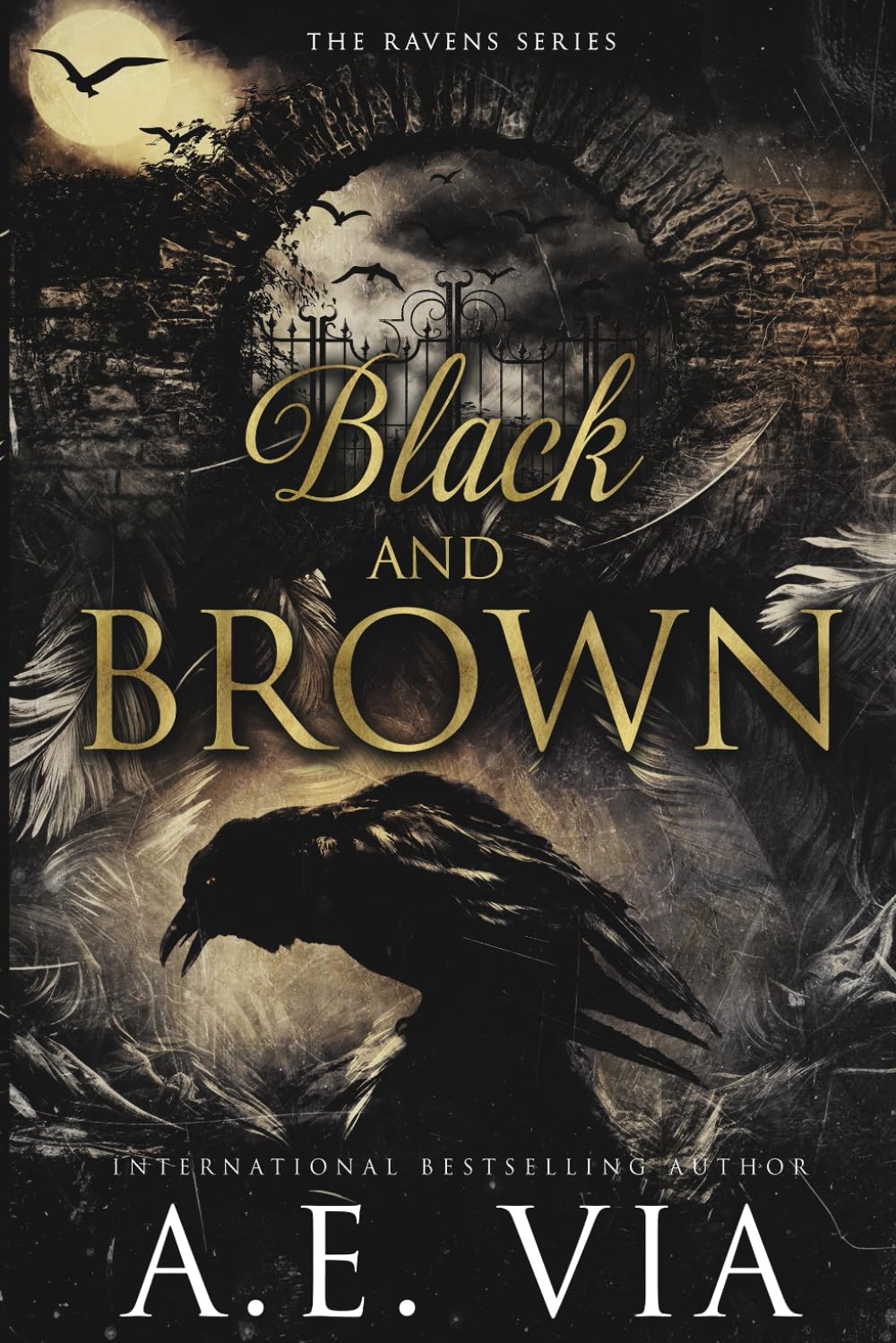 Black and Brown: Raven Assassins (Ravens Series)